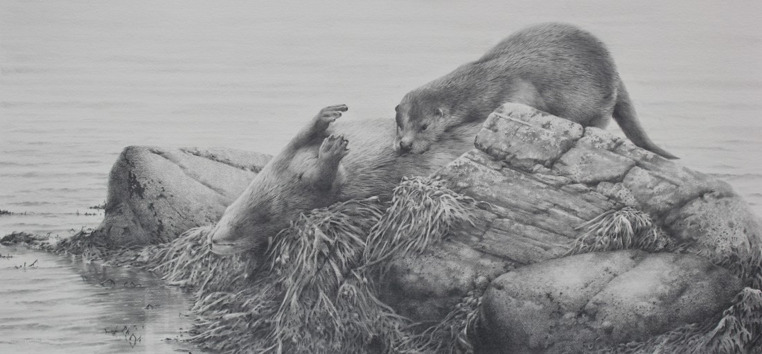 Otters Image